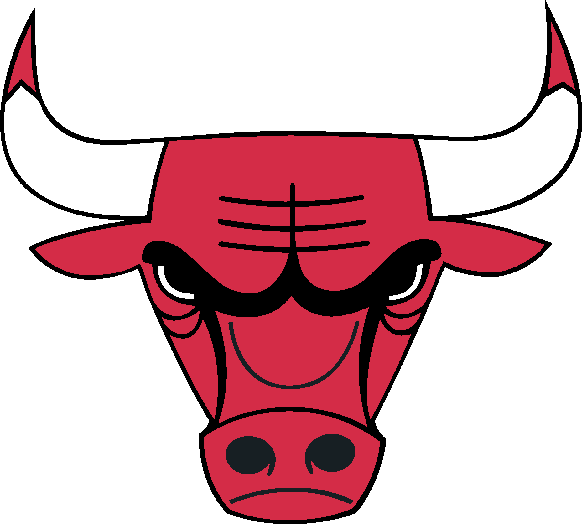 Chicago Bulls